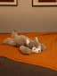 Loyal & Lovable Husky Cuddle Pillow - Soft Lifelike Dog Comforter Cushion Home Decor