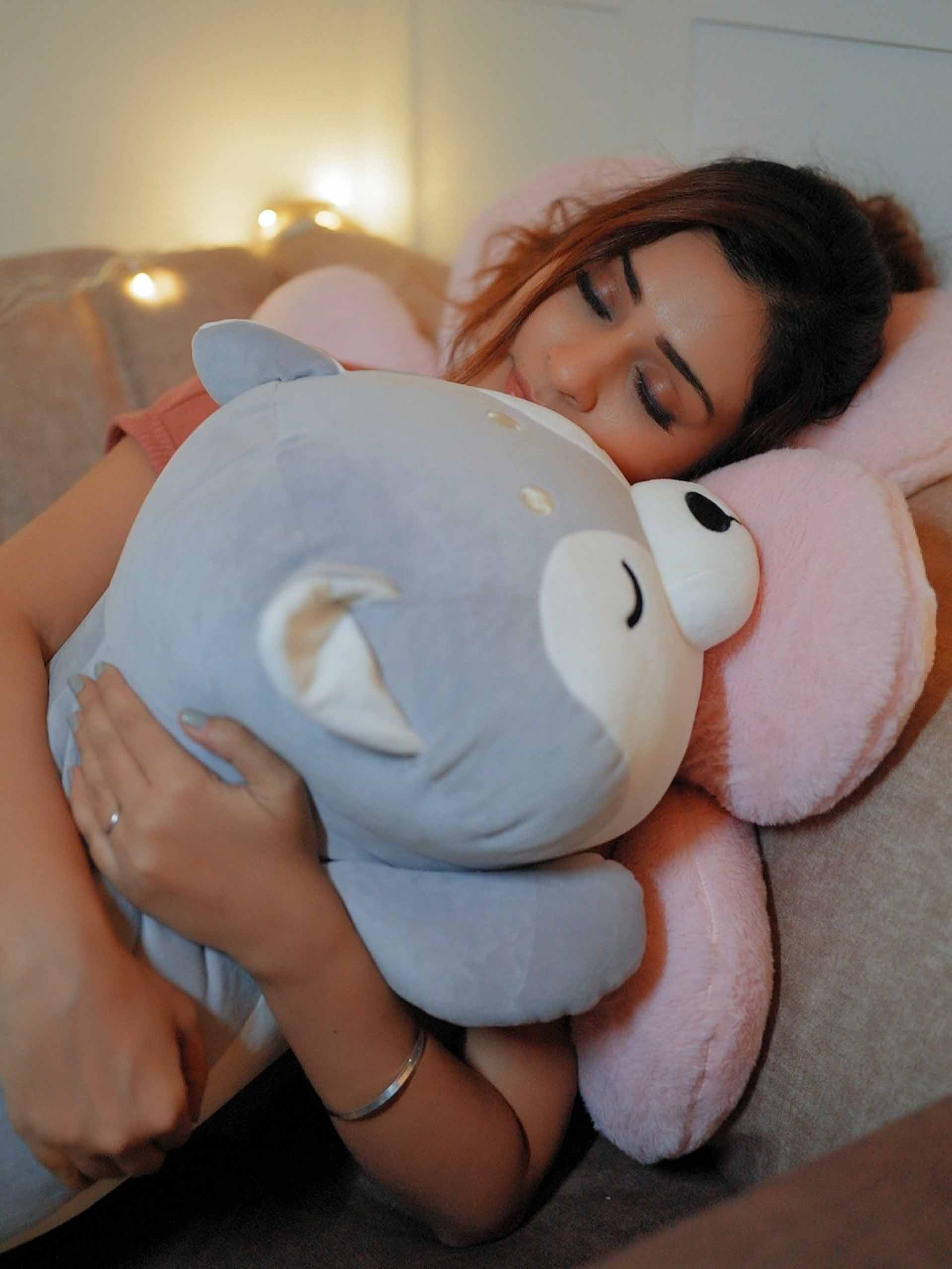 Dozy Dog Cuddle Pillow - Cute Home Decor Sofa Cushion