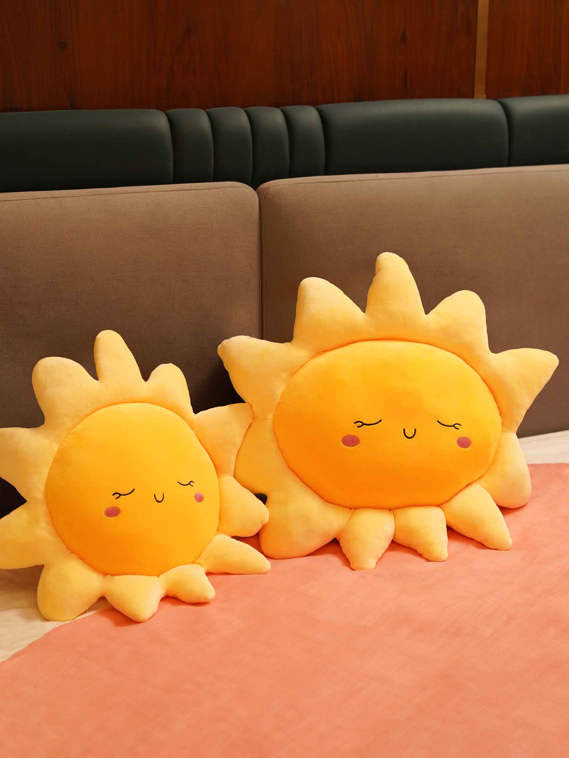 Sunny or Cloudy Blissfully Happy Comfy Cushies - Home Decor Pillow Soft & Cute Sofa Cushion