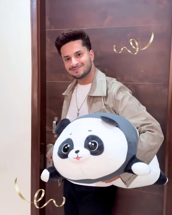 Ta-Da, Happy Birthday To You 🐼